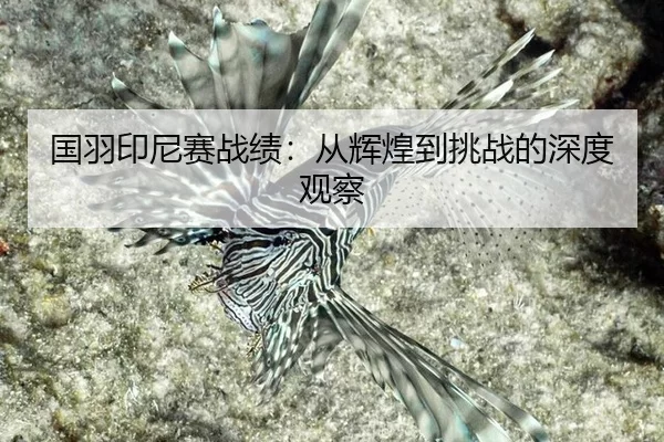 guo-yu-yin-ni-sai-zhan-ji-cong-hui-huang-dao-tiao-zhan-de-shen-du-guan-cha-2-640.jpg
