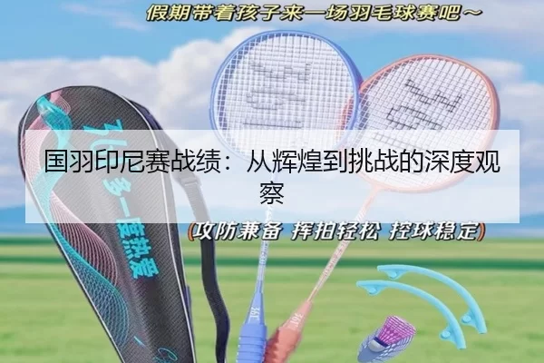 国羽印尼赛战绩：从辉煌到挑战的深度观察