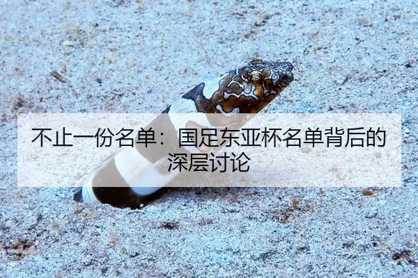 不止一份名单：国足东亚杯名单背后的深层讨论