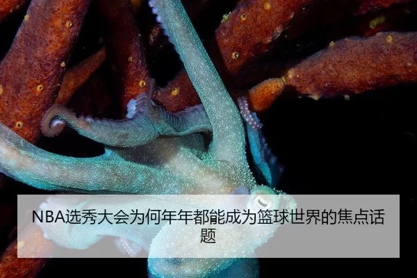 NBA选秀大会为何年年都能成为篮球世界的焦点话题